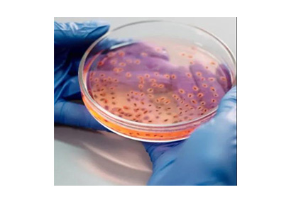 压缩空气系统中的微生物污染